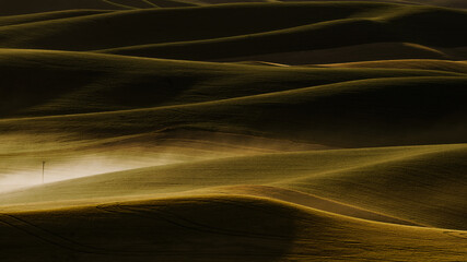 The wheat field, gilded by the setting sun