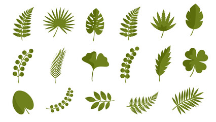 Tropical green leaf collection with fern monstera and palm botanical elements set