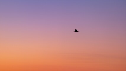 Fototapeta premium Abstract blurred sky gradient in orange and violet hues, minimal atmospheric design