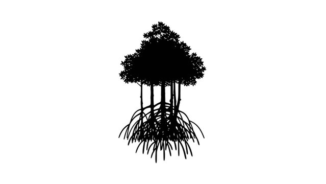 Black and white mangrove tree illustration with roots above ground.
