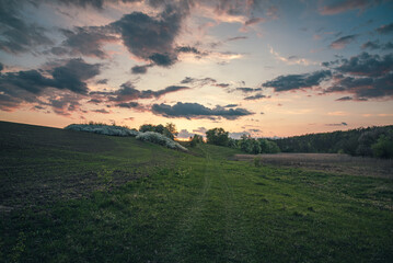 Summer evening landscape