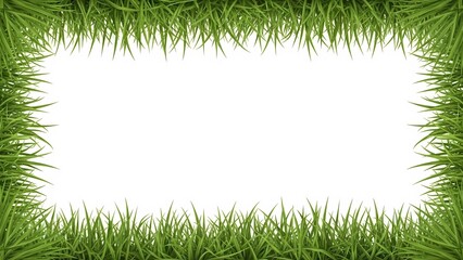 A vibrant green grass border surrounds a clean white background for a natural and serene visual presentation