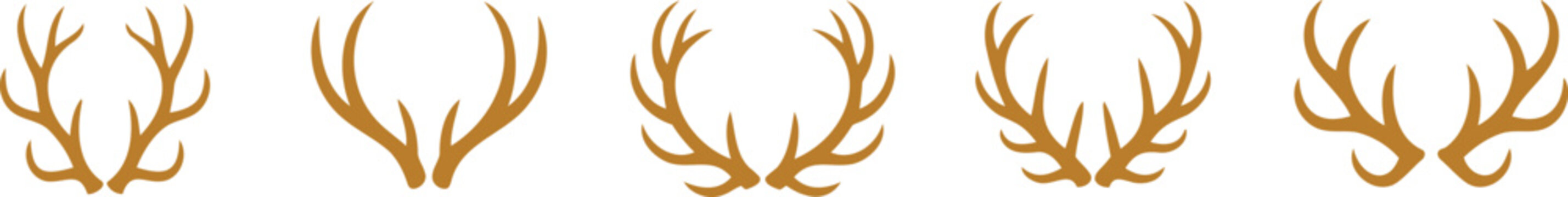 Five brown deer antlers on white background animal