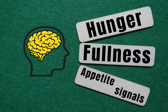 Brain hunger fullness appetite signals illustration