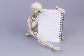 Human skeleton holding blank notebook on grey background. Death list concept.