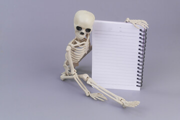 Human skeleton holding blank notebook on grey background. Death list concept.