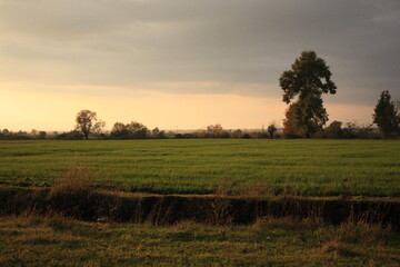 Fototapeta premium Beautiful autumn landscape, sunset