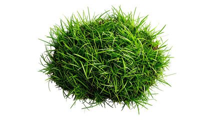 A dense, circular clump of vibrant green grass, isolated against a solid black background