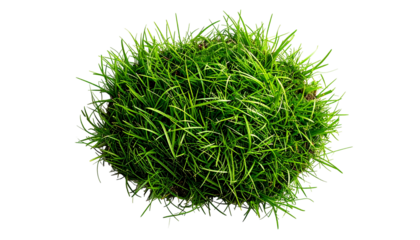 A dense, circular clump of vibrant green grass, isolated against a solid black background
