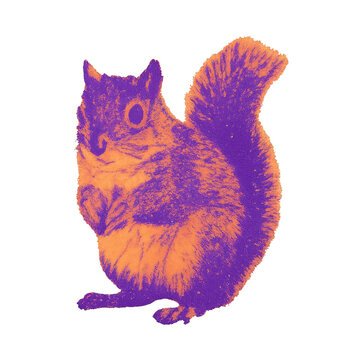 PNG Vibrant squirrel digital illustration