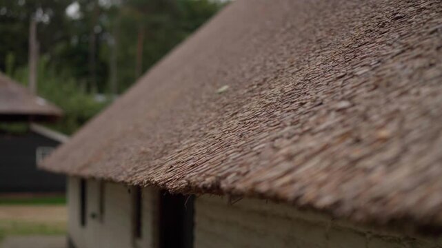 Close up detail of traditional thatched roof made of dried reeds on a historical farmhouse. Natural roofing material texture showcasing dutch architectural heritage and craft.