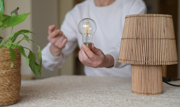 Person holding a modern led bulb near a wooden lamp and houseplant, illustrating smart home energy efficiency, sustainable lighting choices and saving on utility bills and consumption