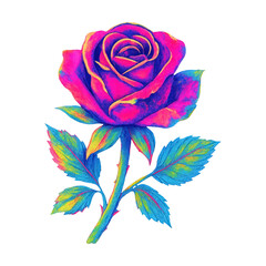 Fototapeta premium PNG Vibrant multicolored rose illustration.