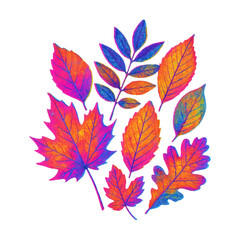 PNG Vibrant autumn leaves illustration