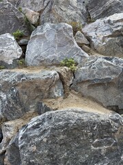 Natural Rock Wall Texture with Unique Sediment Patterns, Rugged Stone Surface Background