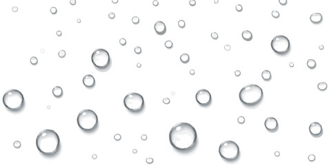 Glistening transparent water droplets scattered across a clean white background