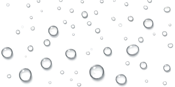 Glistening transparent water droplets scattered across a clean white background