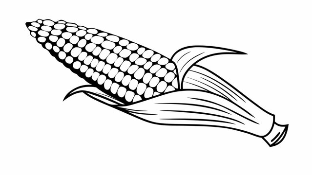 A detailed black and white illustration of an ear of corn with husk and leaves, viewed from the side.