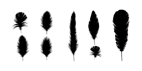 Realistic black fluffy twirled falling feather set with detailed textures for angel bird fantasy decoration spiritual design and elegant visual compositions © Md Riajul