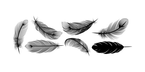 Realistic black fluffy falling twirled feather closeup set for angel bird clipart dark fantasy decoration and dramatic creative design use © Md Riajul