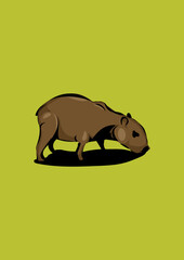 Capybara