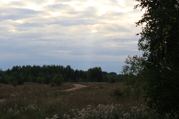 Obraz premium a country road in a field on a summer evening