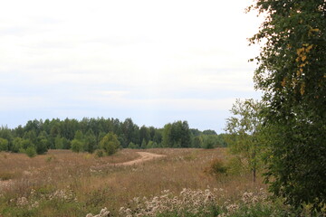 A winding dirt road through fields in late summer