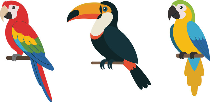 Collection of three vibrant tropical birds featuring a scarlet macaw toucan and yellow parrot icons