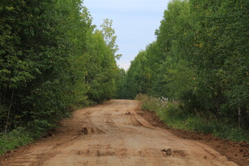 A narrow, winding dirt road overgrown with deciduous forest at the end of summer in the Kirov region of Russia.