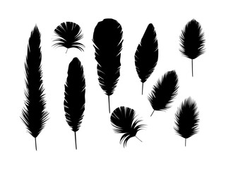 Obraz premium Soft fluffy bird feather design set inspired by swan plumage featuring delicate pen icons for elegant nature themed decorative illustrations