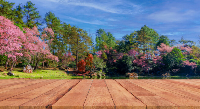 perspective wooden board over blurred naturel background