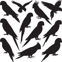 Obraz premium Vector parrot silhouettes of amazon jungle isolated on white background