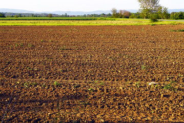 Plowed farmland ready for crop planting with mountain backdrop. Represents soil preparation practices, agricultural landscape transformation, seasonal farming cycle, and climate adaptive agriculture.