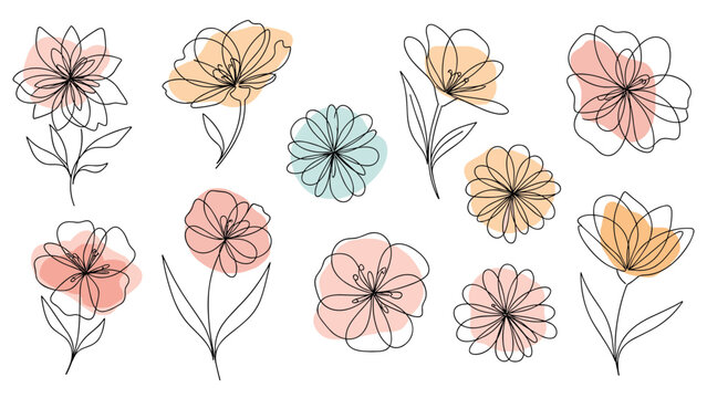 Collection of various delicate flower sketches is created with thin black lines and accented with soft pastel color shapes.