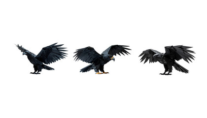 Obraz premium A 3D rendering of a majestic black silhouette of an eagle soaring into the sky, with a red origami piece isolated against a white background