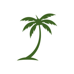 Palm tree leaf  illustration
