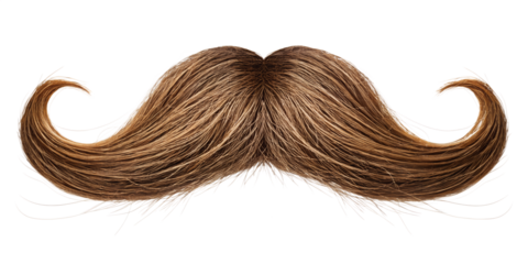 Classic mustache isolated on transparent background