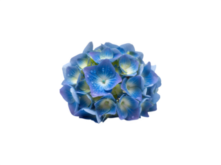 Blue and yellow isolated object png isolated on transparent background