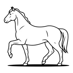 Obraz premium Black and white drawing of a prancing horse isolated on transparent background
