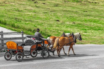 Horse‑drawn carriage with driver traveling along a country road
