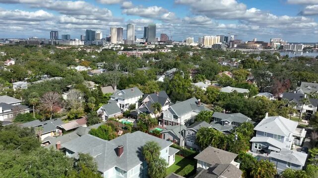 Hyde Park district in Tampa, showing lush summer greenery, luxury suburban homes and distant skyline under bright clouds. Upscale residential area in United States. Aerial wide shot.