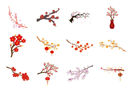 Blooming plum blossom branch collection. Vector pink sakura flowers and vases for Chinese Spring Festival decoration