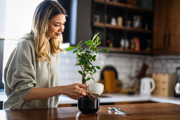 A woman trimming indoor plants, enjoying home gardening and relaxation at home, peaceful weekend