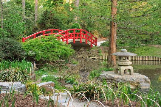 Japanese garden with a red bridge in Sarah P. Duke Gardens in Durham, North Carolina
