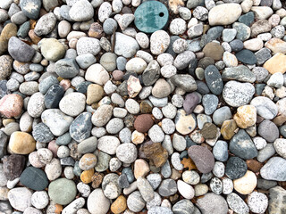 Multicolored River Rocks in Landscape Bed