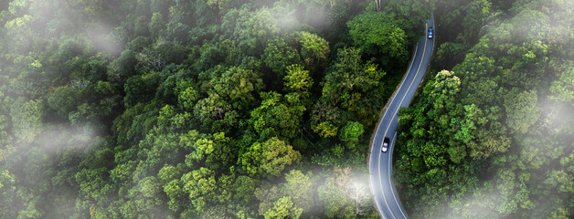 Green forest landscape with road, representing low carbon transportation and sustainable infrastructure concepts.