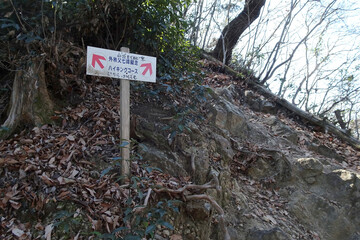 日本：頂上付近の斜面【石尊山～官ノ倉山ハイキングコース】埼玉県小川町