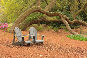 A couple of wooden chairs invite guests to relax and contemplate the spring landscape in Airlie...