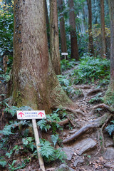 日本：ハイキングコースの道標【石尊山～官ノ倉山】埼玉県小川町