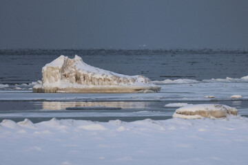 a frozen block of ice in the shape of an alligator head